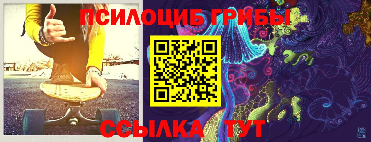 Галлюциногенные грибы мицелий  Вход с VPN  Кашира 